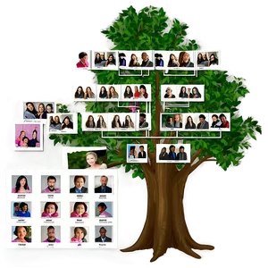 Family Reunion Tree With Photos PNG 41