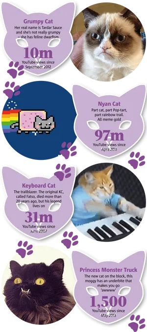 Famous Internet Cats Meme Infographic PNG image