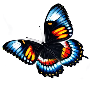 Fancy Black Butterfly PNG 17