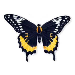 Fancy Black Butterfly Png 38 PNG image