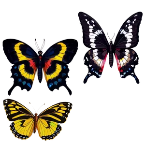 Fancy Black Butterfly PNG 57