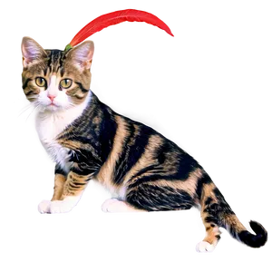 Fancy Cat Meme PNG Rjr