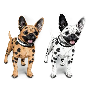Fancy Dogs PNG 74
