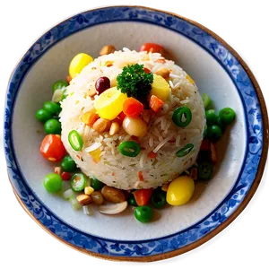 Fancy Fried Rice PNG 06262024