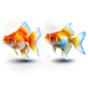 Fancy Goldfish PNG 05212024