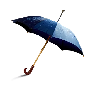 Fancy Umbrella PNG 05232024