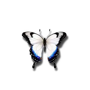 Fancy White Butterfly Png Ffw91 PNG image