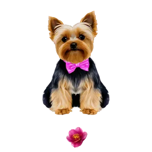 Fancy Yorkie Png Ges PNG image