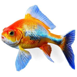 Fantail Goldfish PNG 68 PNG