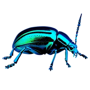 Fantastical Weevil World PNG Uvd PNG