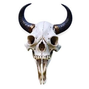 Fantasy Animal Skull PNG 43