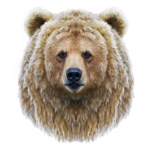 Fantasy Bear Face PNG 06292024