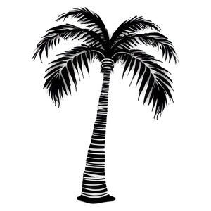 Fantasy Black Palm Tree Artwork Png 06262024 PNG image