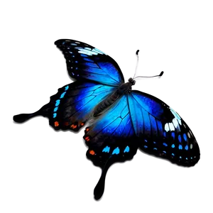 Fantasy Blue Butterfly Png 83 PNG image