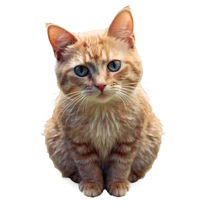 Fantasy Cat Filter PNG Ioe
