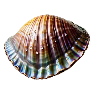 Fantasy Clam Shell PNG 79