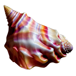 Fantasy Conch Shell Magic PNG Bfg28 PNG