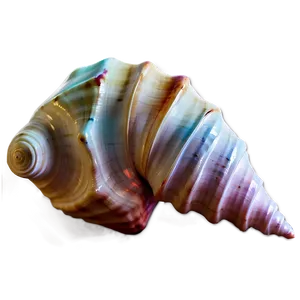 Fantasy Conch Shell Magic PNG Lip99 PNG