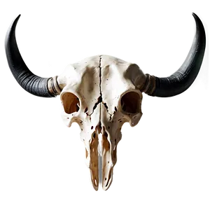 Fantasy Cow Skull PNG 06132024