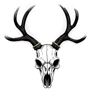 Fantasy Deer Skull With Horns PNG Kjf PNG