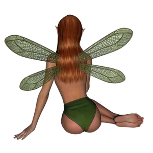 Fantasy_ Fairy_ Back_ View PNG image