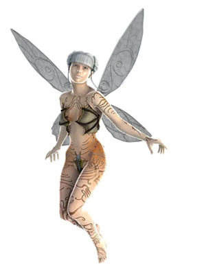 Fantasy Fairy Illustration