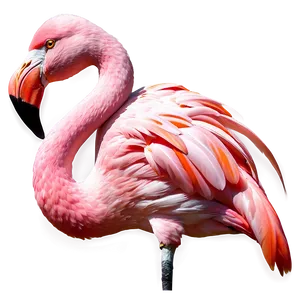 Fantasy Flamingo Illustration PNG Hmp87