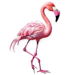 Fantasy Flamingo Illustration Png Lsb32 PNG image