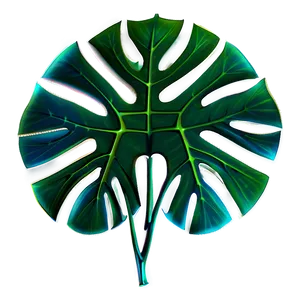 Fantasy Monstera Leaf PNG 67