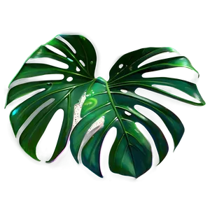 Fantasy Monstera Leaf PNG Xky