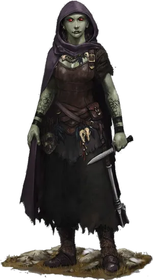 Fantasy Orc Rogue Character Art PNG image