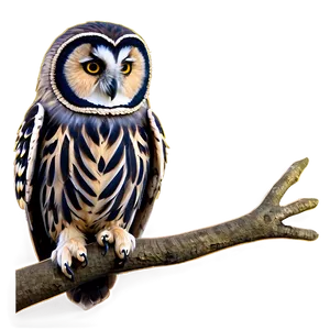 Fantasy Owl Png Pxa PNG image