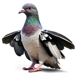 Fantasy Pigeon PNG 94