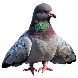 Fantasy Pigeon PNG 99