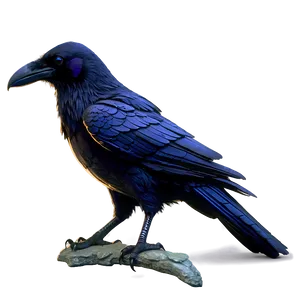 Fantasy Raven Png Pil65 PNG image