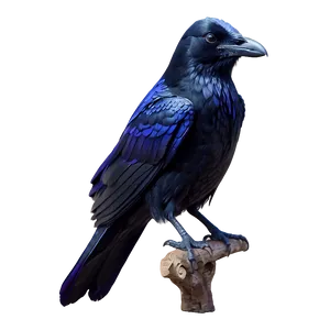 Fantasy Raven With Magic PNG 06122024