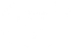 Fantasy_ Sci Fi_ Film_ Festival_ Selection_2018.png PNG image