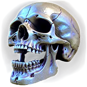 Fantasy Skull Art PNG D
