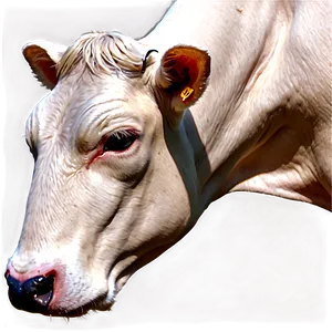 Farm Animal Cow Head Png 42 PNG image