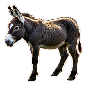 Farm Animal Donkey PNG 05232024