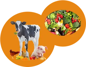 Farm Animalsand Vegetables Collage PNG image