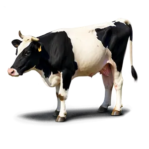 Farm Cow PNG Yse