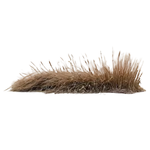 Farm Dry Grass PNG 79