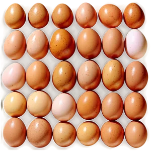 Farm Fresh Eggs PNG 05242024