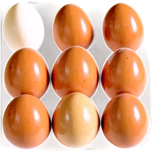 Farm Fresh Eggs PNG Qts