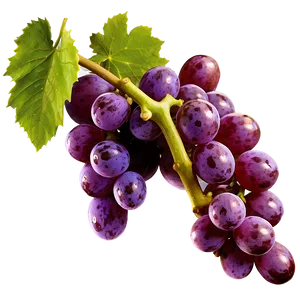 Farm Fresh Grape PNG 62 PNG