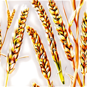 Farm Fresh Wheat Png 05252024 PNG image