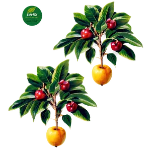 Farm Fruit Trees PNG 28 PNG