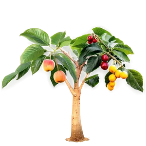 Farm Fruit Trees PNG 68
