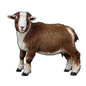 Farm Goat Png 05232024 PNG image